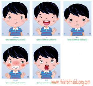Bộ tranh các gương mặt cảm xúc cơ bản